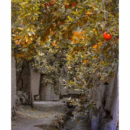  بهم دروغ میگفتی با چشات تا آخرین باری که دیدمت دم دانشگات